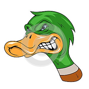 Duck. Vector illustration of a waterbird with a broad blunt bill. Evil duck cartoon