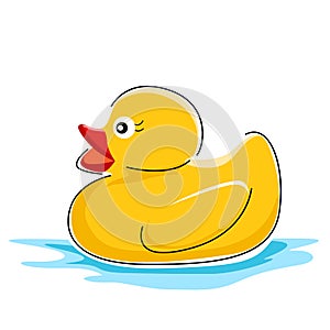 Duck in water