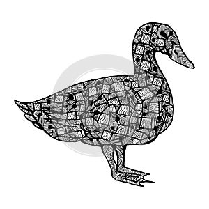 Duck in zintagl style. Ethnically decorated bird.