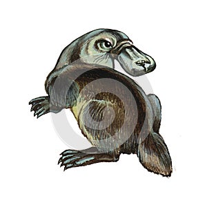 Duckbilled or Platypus