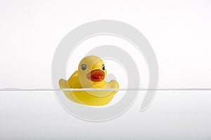 Duckie photo