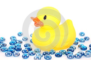Duckie with water marbles