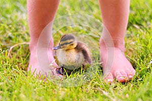 Duckling with Childs Feet