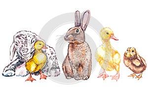 Duckling, goat, cute chick and rabbit watercolor illustration. Easter set. Hand painted card with traditional symbols