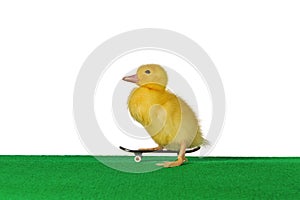 Duckling skate