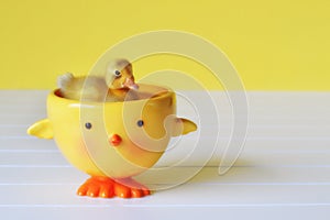 Duckling Swimming in a Duck Bowl