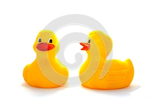 Ducks