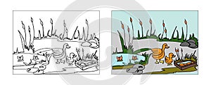 Ducks behind pond coloring book design with monochrome and colored versions. Freehand sketch for adult anti stress coloring book