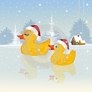 Ducks celebrate Christmas