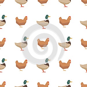 Ducks and chickens seamless pattern