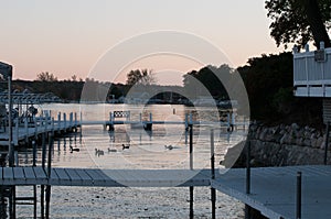Ducks at the docks on Lake Delavan, Wisconsin at dusk