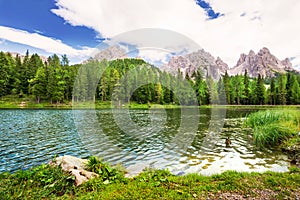 Ducks on lake Lago Antorno with the view to Dolomites, Italy.