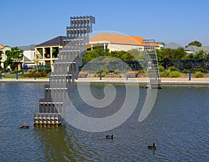 Ducks at Mawson Lakes