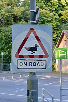 Ducks on Road Warning Sign