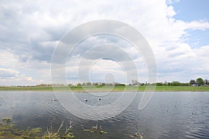 Ducks swimming in lake near village under sky with clouds