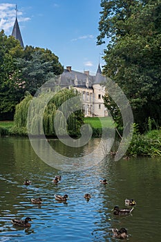 Ducks swimming in the pond with the castle of ThÃ©mÃ©ricourt in