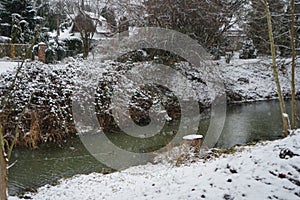 Ducks on the water in winter. Snow in the vicinity of the Wuhle River in January. Marzahn-Hellersdorf, Berlin, Germany.