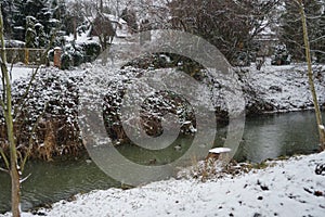 Ducks on the water in winter. Snow in the vicinity of the Wuhle River in January. Marzahn-Hellersdorf, Berlin, Germany.