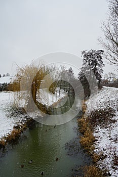 Ducks on the water in winter. Snow in the vicinity of the Wuhle River in January. Marzahn-Hellersdorf, Berlin, Germany.