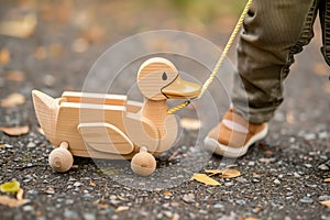 duckshaped wooden pull toy being walked by a toddler