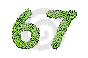 Duckweed alphabet letters - Number 6, 7