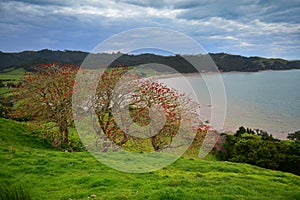 Duder Regional Park, a coastal farm park in New Zealand