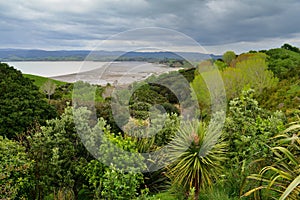 Duder Regional Park, a coastal farm park in New Zealand