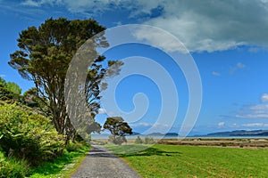 Duder Regional Park, a coastal farm park in New Zealand