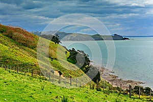 Duder Regional Park, a coastal farm park in New Zealand