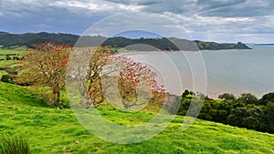 Duder Regional Park, a coastal farm park in New Zealand