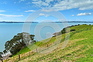 Duder Regional Park, a coastal farm park in New Zealand