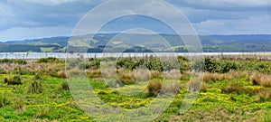 Duder Regional Park, a coastal farm park in New Zealand