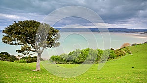 Duder Regional Park, a coastal farm park in New Zealand