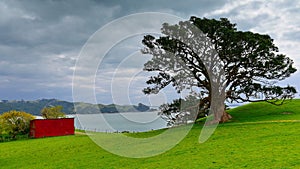 Duder Regional Park, a coastal farm park in New Zealand