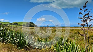 Duder Regional Park, a coastal farm park in New Zealand