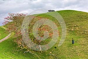 Duder Regional Park, a coastal farm park in New Zealand