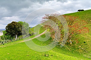 Duder Regional Park, a coastal farm park next in New Zealand