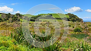 Duder Regional Park, a coastal farm park next to Hauraki gulf, New Zealand