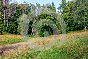 Duderhof heights. Abandoned pond in the park. Saint Petersburg, Russia