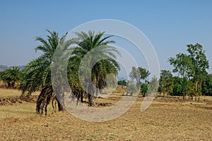 Dudhni Lake is one of the most scenic place and serene atmosphere with the huge waterfront in the Union Territory of India. Dudhni photo