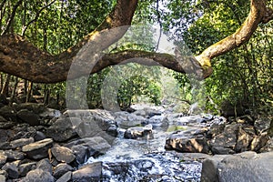 Dudhsagar Waterfall, Goa, India