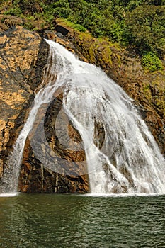 Dudhsagar Waterfall in tropical jungle of India