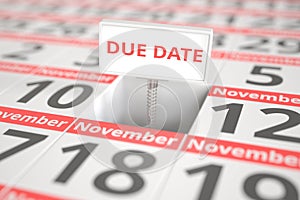 DUE DATE message on November 11 in a calendar, 3d rendering