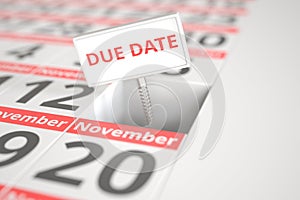 DUE DATE sign on November 13 in calendar, 3d rendering