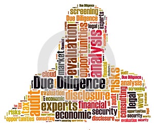 Due Diligence