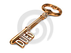 DUED - Golden Key on White Background.