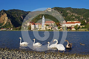 Duernstein with swan