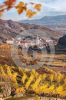 Duernstein village with castle against colorful vineyards during autumn in Wachau, Austria