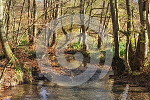 Duessel River,Neandertal,Germany