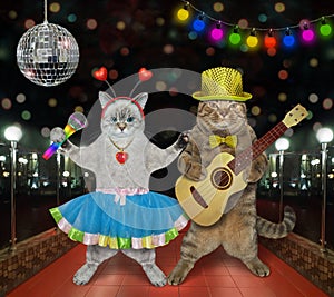 Duet of cats singing in nightclub